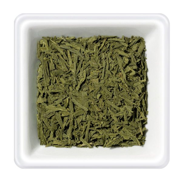 Sencha
